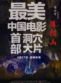稍后再看