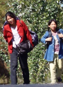 wta 排名